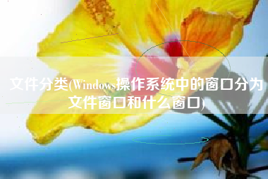 文件分类(Windows操作系统中的窗口分为文件窗口和什么窗口)