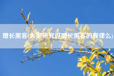 增长黑客(大家研究过增长黑客的规律么)