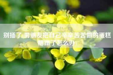 别插了(男朋友把自己辛辛苦苦做的蛋糕糟蹋了怎么办)