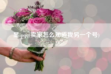 显ipqq(卖家怎么知道我另一个号)