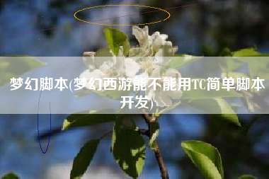 梦幻脚本(梦幻西游能不能用TC简单脚本开发)