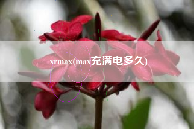 xrmax(max充满电多久)