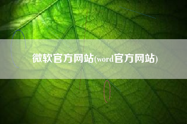 微软官方网站(word官方网站)