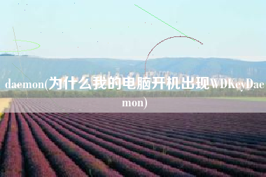 daemon(为什么我的电脑开机出现WDKeyDaemon)