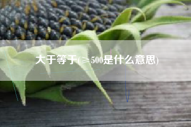 大于等于(≥500是什么意思)