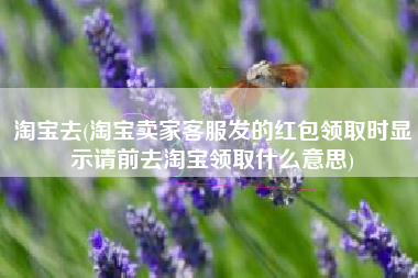 淘宝去(淘宝卖家客服发的红包领取时显示请前去淘宝领取什么意思)