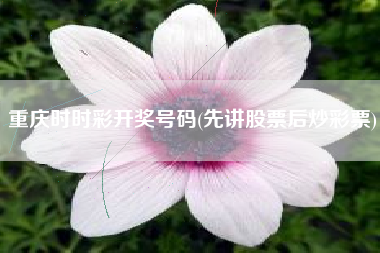重庆时时彩开奖号码(先讲股票后炒彩票)