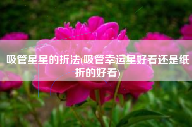 吸管星星的折法(吸管幸运星好看还是纸折的好看)
