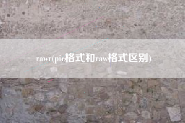 rawr(pic格式和raw格式区别)