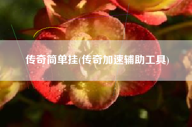 传奇简单挂(传奇加速辅助工具)