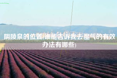阴陵泉的位置(谁能告诉我去湿气的有效办法有哪些)