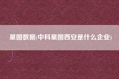 星图数据(中科星图西安是什么企业)
