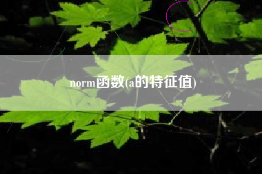 norm函数(a的特征值)
