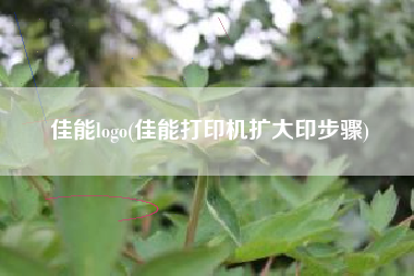 佳能logo(佳能打印机扩大印步骤)