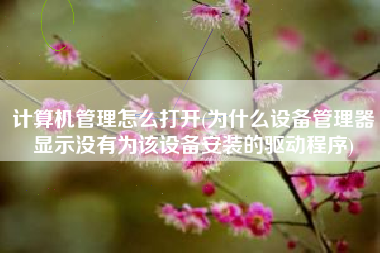 计算机管理怎么打开(为什么设备管理器显示没有为该设备安装的驱动程序)