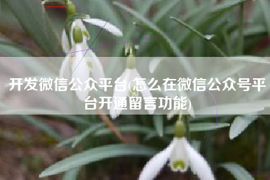开发微信公众平台(怎么在微信公众号平台开通留言功能)