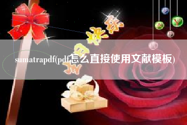 sumatrapdf(pdf怎么直接使用文献模板)