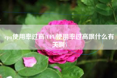 cpu使用率过高(CPU使用率过高跟什么有关啊)