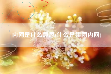 内网是什么意思(什么是集团内网)