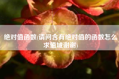 绝对值函数(请问含有绝对值的函数怎么求值域谢谢)