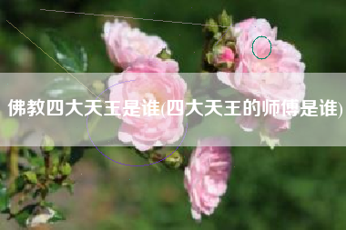 详细阅读:佛教四大天王是谁(四大天王的师傅是谁) 佛教四大天王是谁(四大天王的师傅是谁)