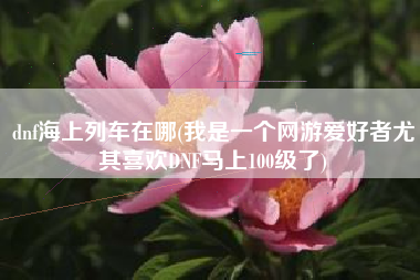 dnf海上列车在哪(我是一个网游爱好者尤其喜欢DNF马上100级了)