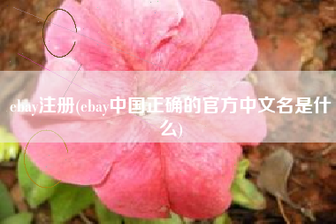 详细阅读:ebay注册(ebay中国正确的官方中文名是什么) ebay注册(ebay中国正确的官方中文名是什么)
