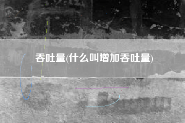 吞吐量(什么叫增加吞吐量)