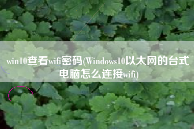 win10查看wifi密码(Windows10以太网的台式电脑怎么连接wifi)