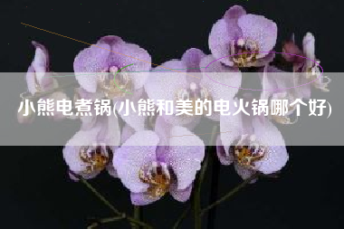 小熊电煮锅(小熊和美的电火锅哪个好)
