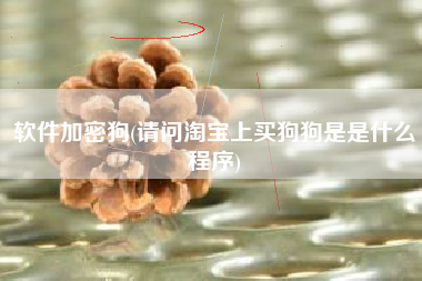 详细阅读:软件加密狗(请问淘宝上买狗狗是是什么程序) 软件加密狗(请问淘宝上买狗狗是是什么程序)