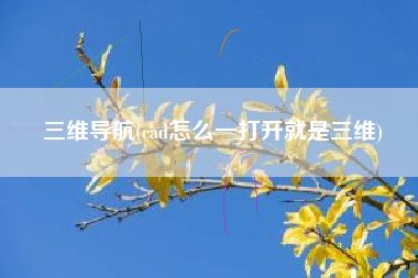 三维导航(cad怎么一打开就是三维)