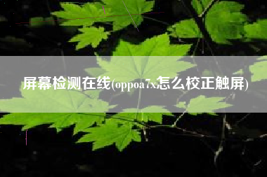 屏幕检测在线(oppoa7x怎么校正触屏)