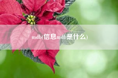 mdb(信息mdb是什么)