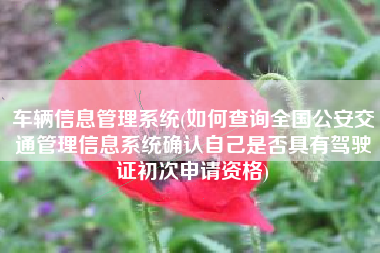 车辆信息管理系统(如何查询全国公安交通管理信息系统确认自己是否具有驾驶证初次申请资格)