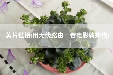 黄片链接(用无线路由一看电影就掉线)