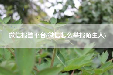 微信报警平台(微信怎么举报陌生人)