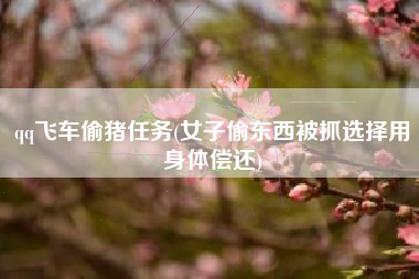 qq飞车偷猪任务(女子偷东西被抓选择用身体偿还)