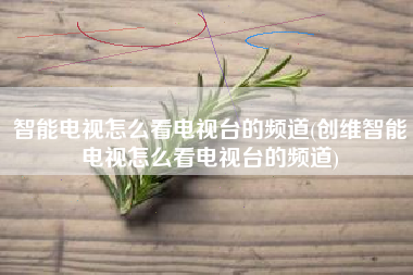 智能电视怎么看电视台的频道(创维智能电视怎么看电视台的频道)