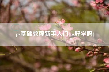 ps基础教程新手入门(ps好学吗)