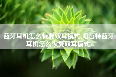 蓝牙耳机怎么恢复双耳模式(渡哲特蓝牙耳机怎么恢复双耳模式)