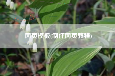网页模板(制作网页教程)