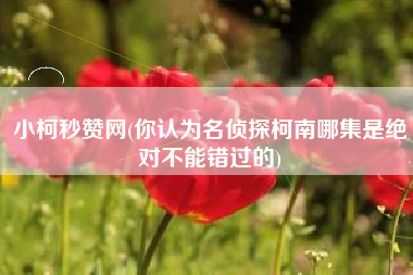 小柯秒赞网(你认为名侦探柯南哪集是绝对不能错过的)