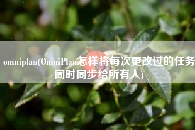 omniplan(OmniPlan怎样将每次更改过的任务同时同步给所有人)