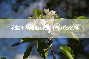 荣耀平板电脑(荣耀平板t8怎么样)