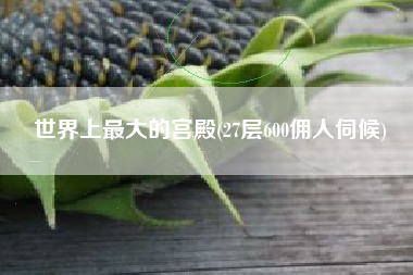 世界上最大的宫殿(27层600佣人伺候)