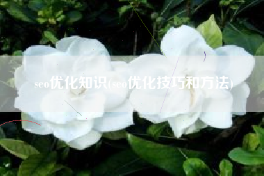 详细阅读:seo优化知识(seo优化技巧和方法) seo优化知识(seo优化技巧和方法)
