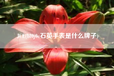 JCE(bl0j0e石英手表是什么牌子)