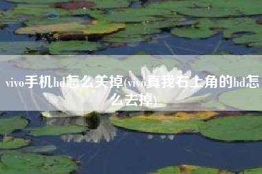 vivo手机hd怎么关掉(vivo真我右上角的hd怎么去掉)
