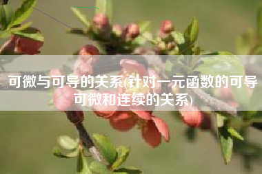 可微与可导的关系(针对一元函数的可导可微和连续的关系)